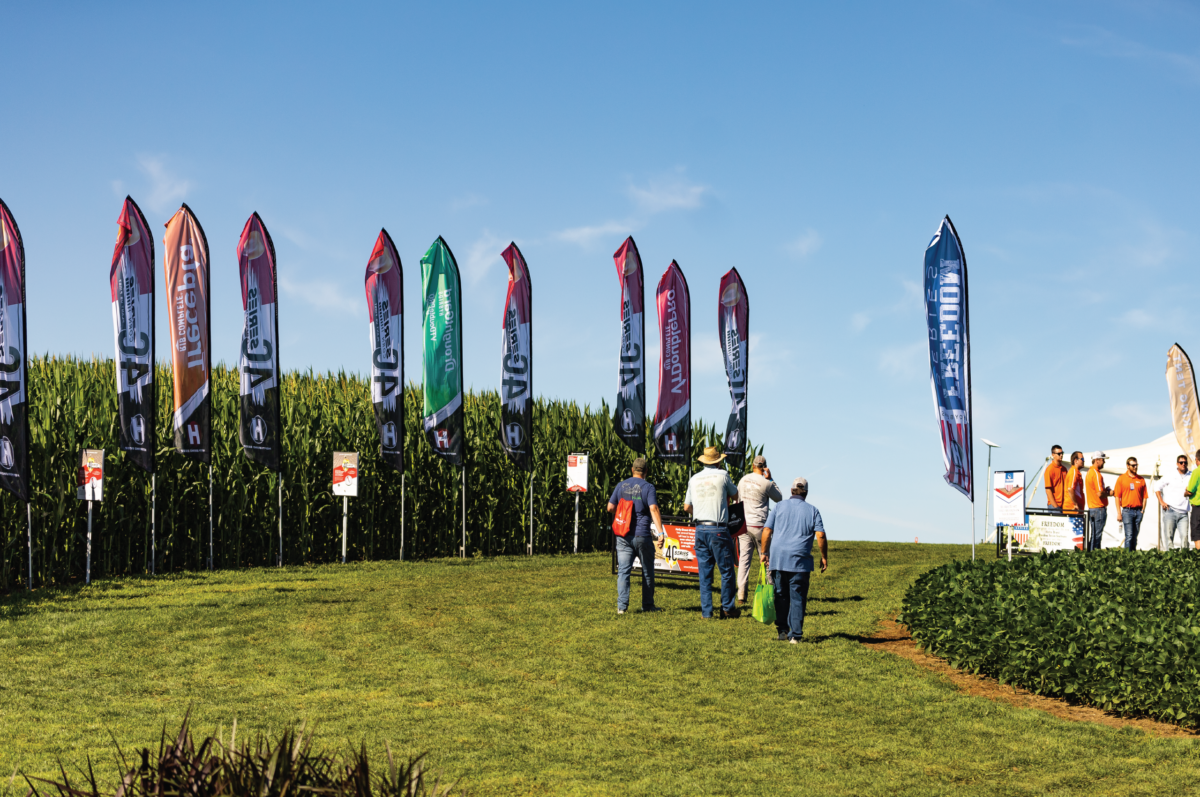 Field Day Ag PhD