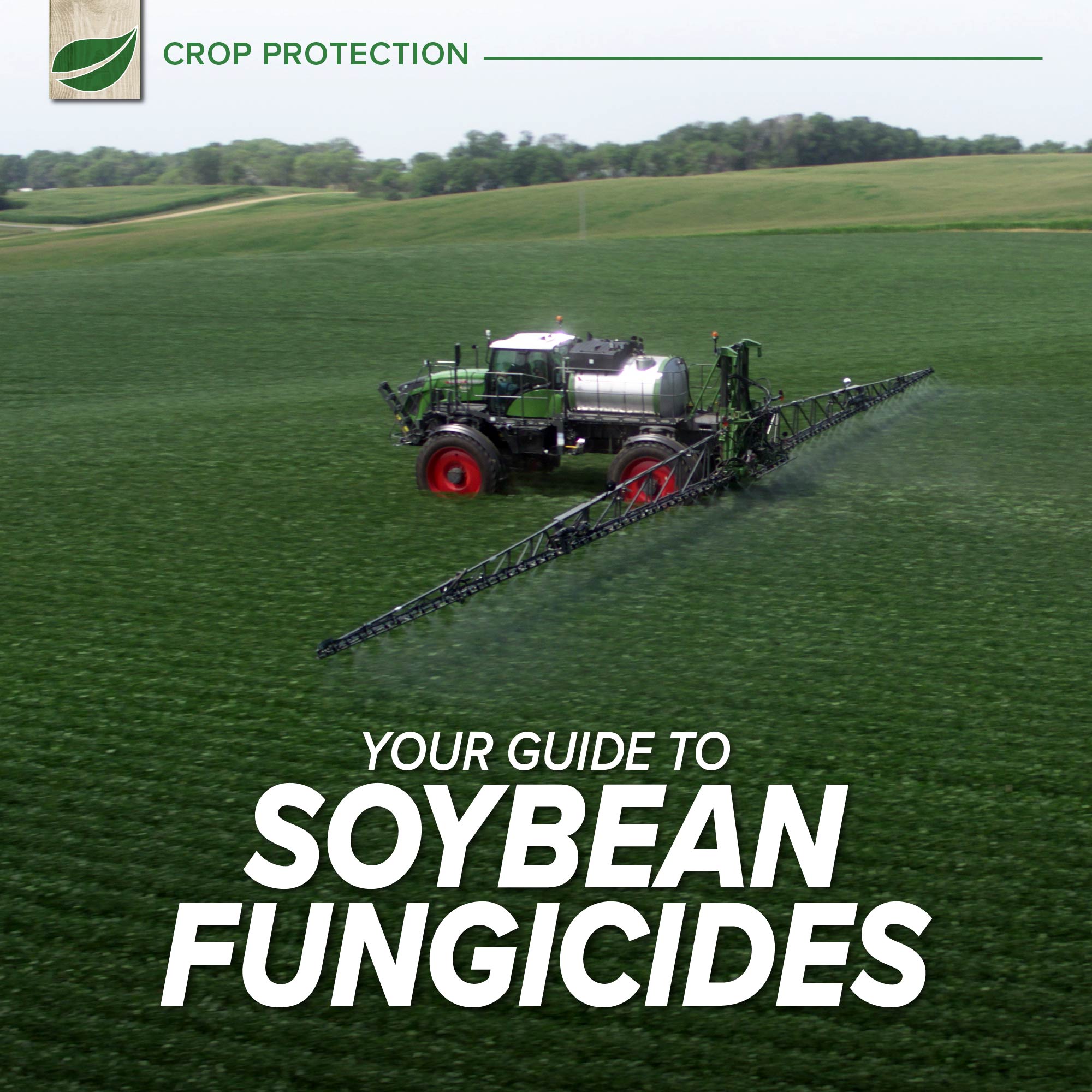 Your Guide to Soybean Fungicides