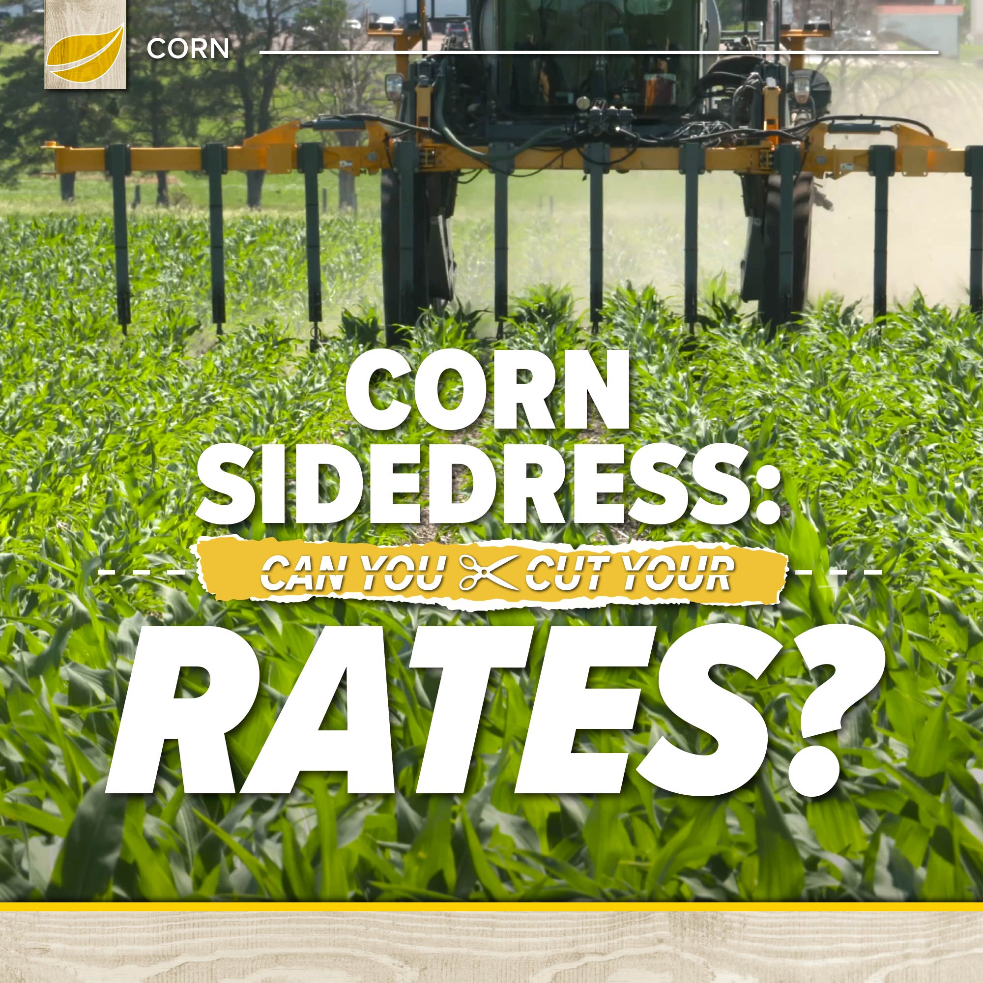 Corn Sidedress: Can You Cut Your Rates?