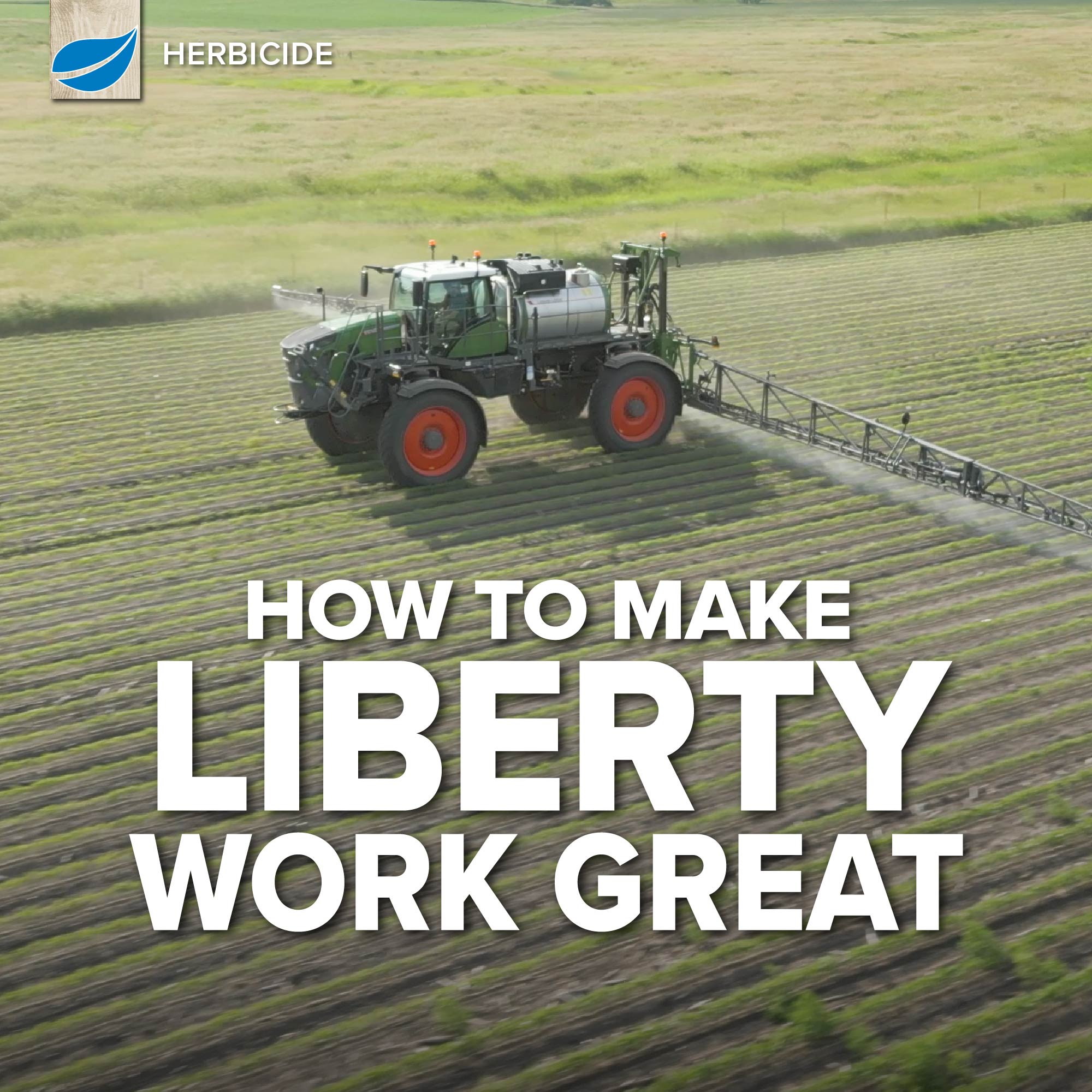 How To Make Liberty Work Great