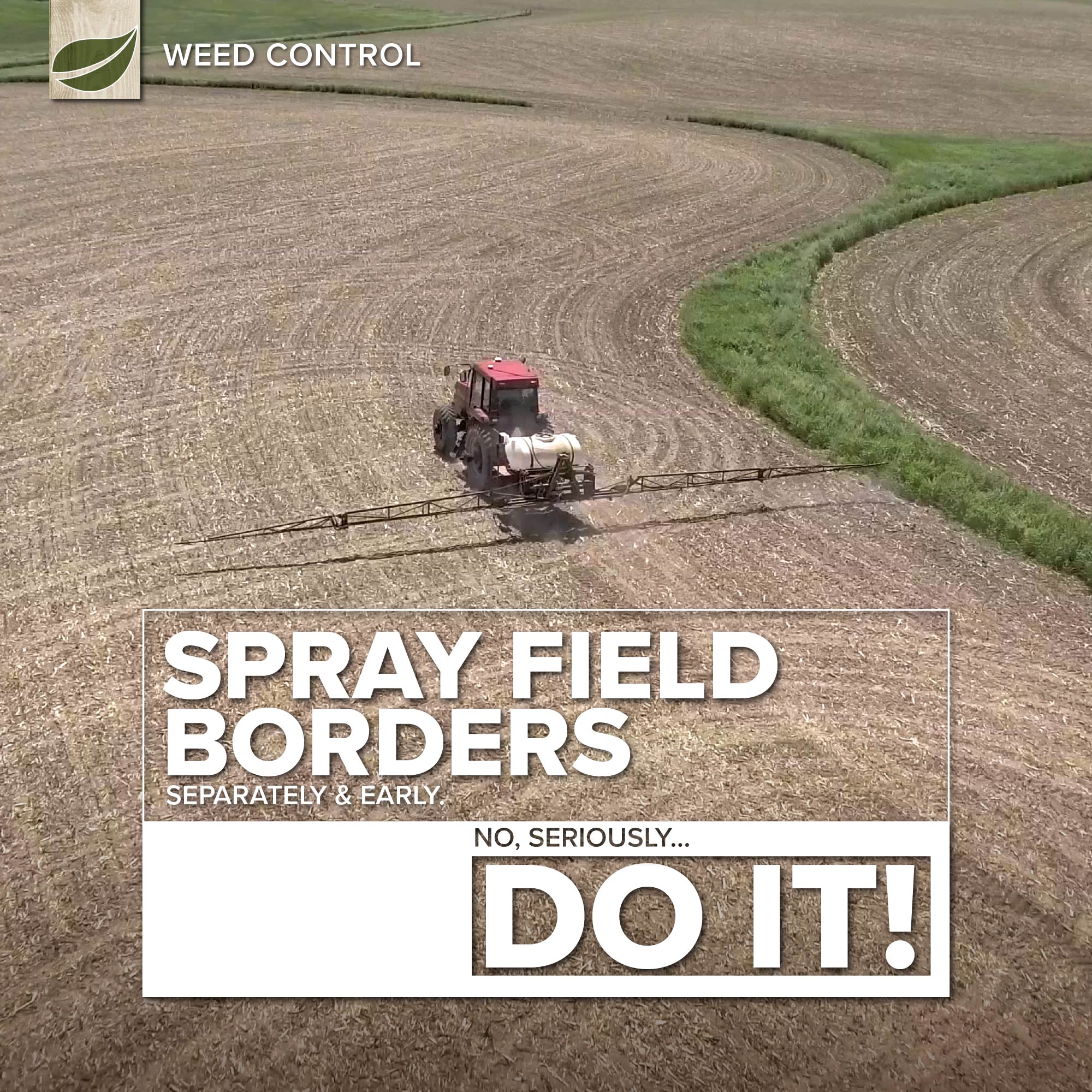 Spray Field Borders Separately & Early.